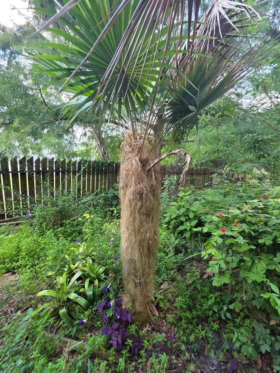 3603 Kirby Loop Road Fort Pierce, FL 34981
