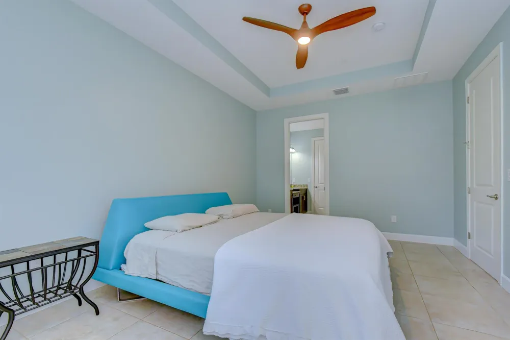 8433 Alberata Vista Drive Tampa, FL 33647