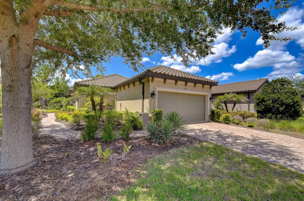8433 Alberata Vista Drive Tampa, FL 33647