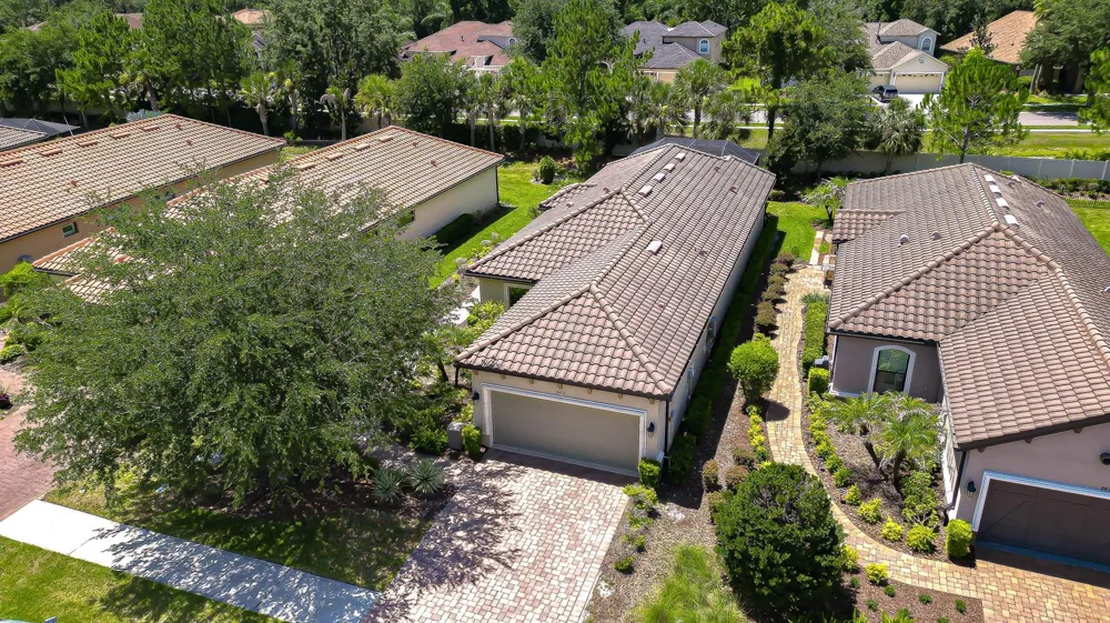 8433 Alberata Vista Drive Tampa, FL 33647