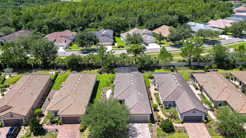 8433 Alberata Vista Drive Tampa, FL 33647