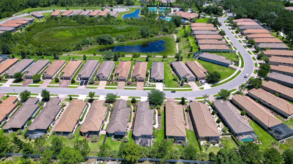 8433 Alberata Vista Drive Tampa, FL 33647