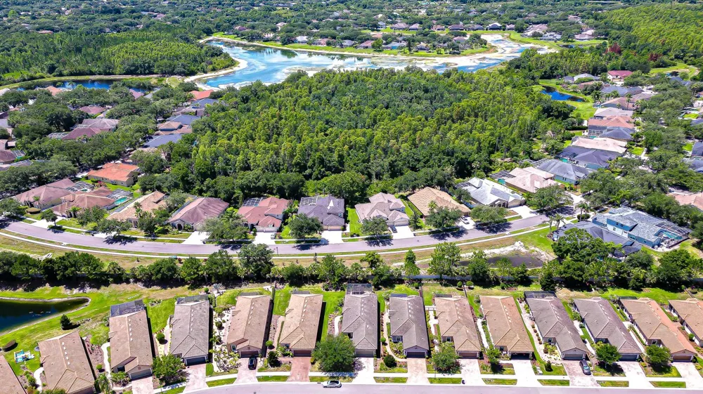 8433 Alberata Vista Drive Tampa, FL 33647
