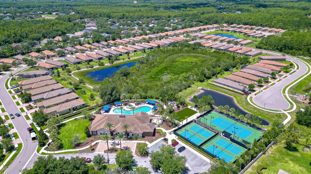 8433 Alberata Vista Drive Tampa, FL 33647