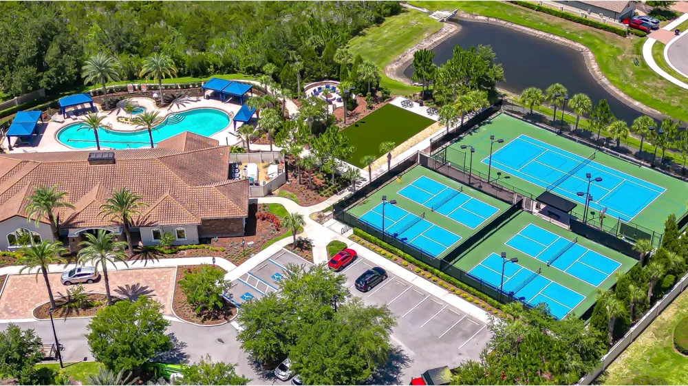 8433 Alberata Vista Drive Tampa, FL 33647