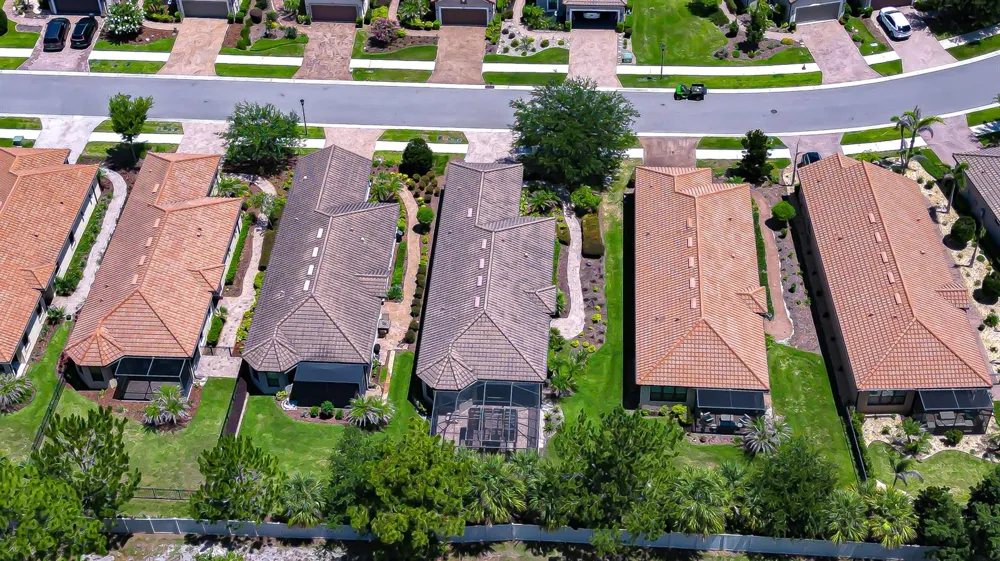 8433 Alberata Vista Drive Tampa, FL 33647