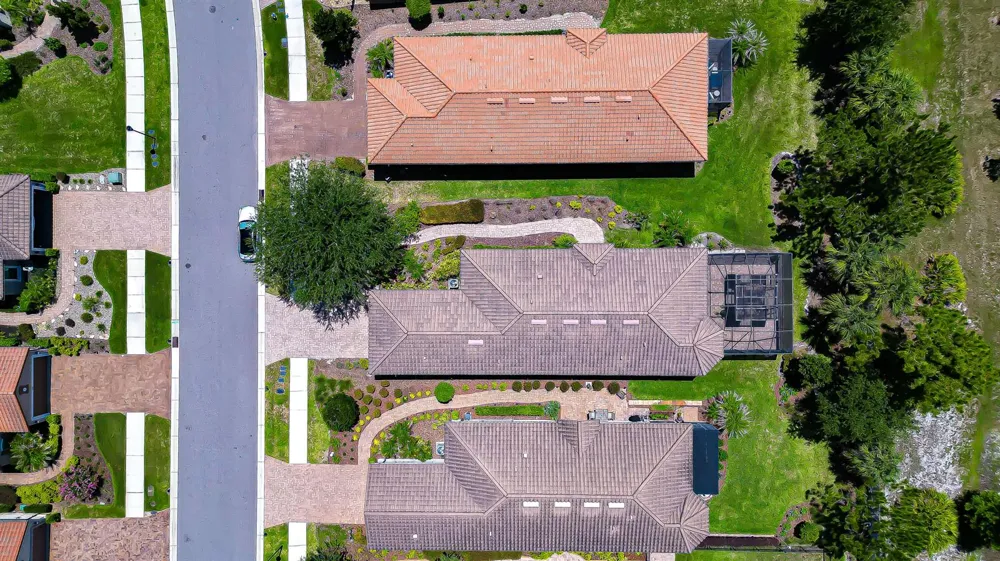 8433 Alberata Vista Drive Tampa, FL 33647