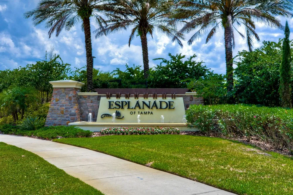 8433 Alberata Vista Drive Tampa, FL 33647
