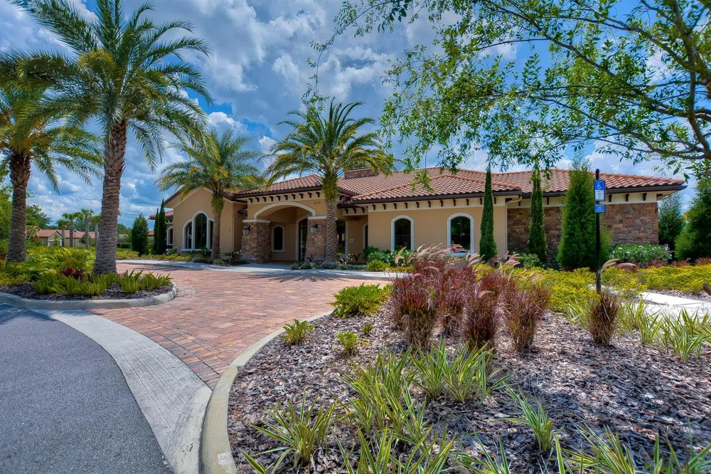 8433 Alberata Vista Drive Tampa, FL 33647