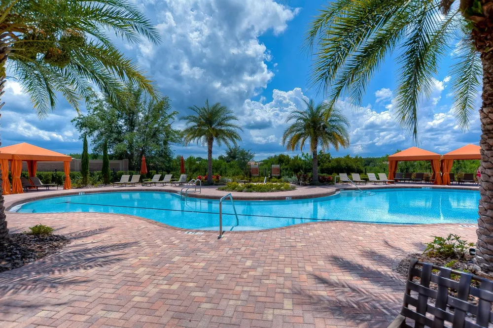 8433 Alberata Vista Drive Tampa, FL 33647