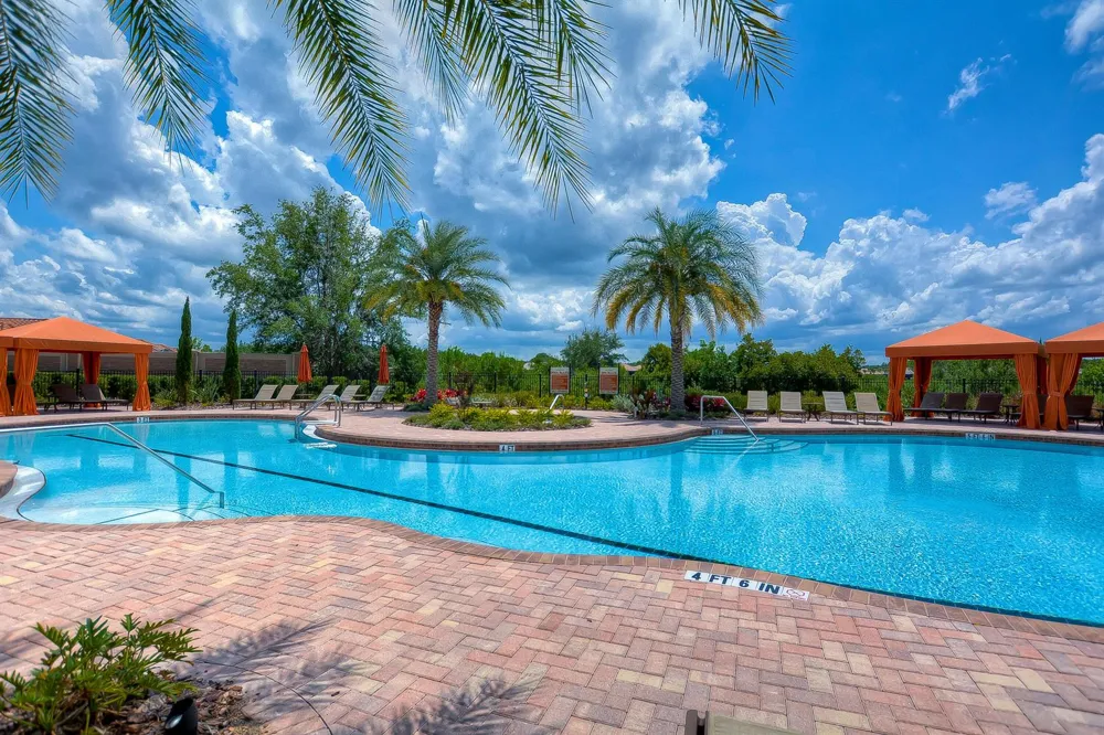 8433 Alberata Vista Drive Tampa, FL 33647