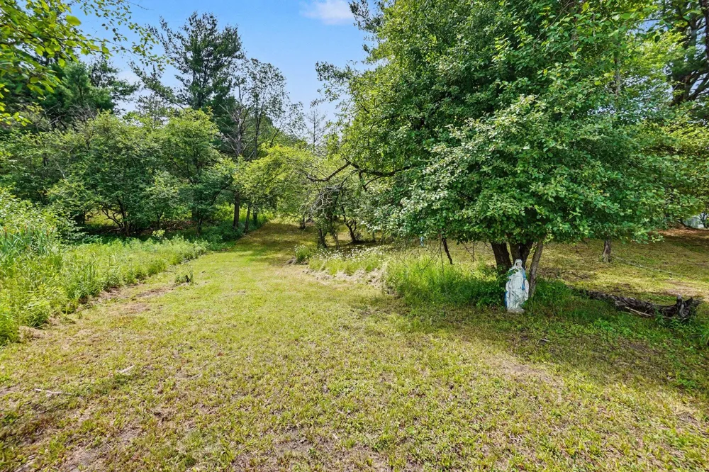 8341 Enid Drive Evart Township, MI 49631