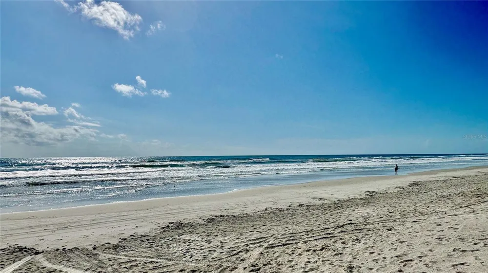2410 S ATLANTIC AVENUE New Smyrna Beach, FL 32169