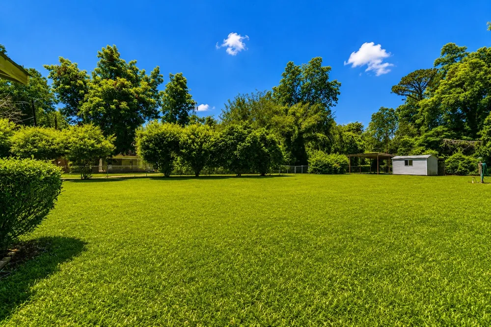 6142 Masonic Drive Alexandria, LA 71031