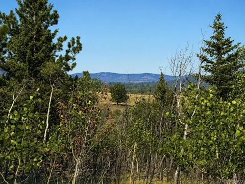 250 Pinto Trail