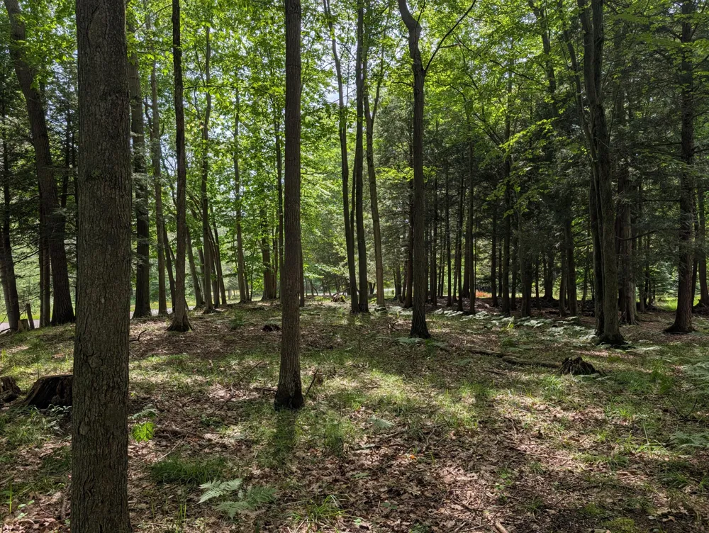 N. Glen Wood Dr. #1 Ludington, MI 49431
