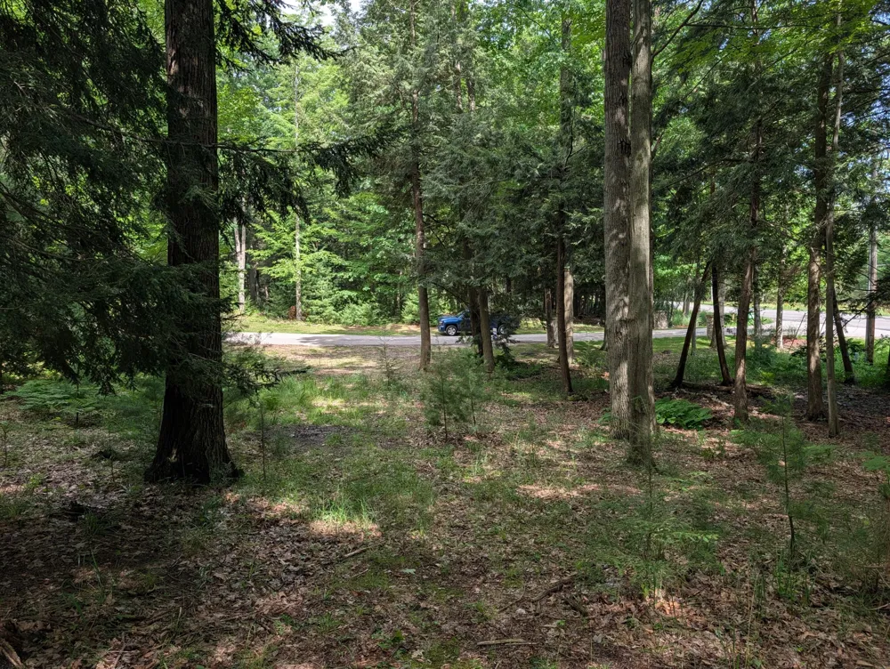 N. Glen Wood Dr. #1 Ludington, MI 49431