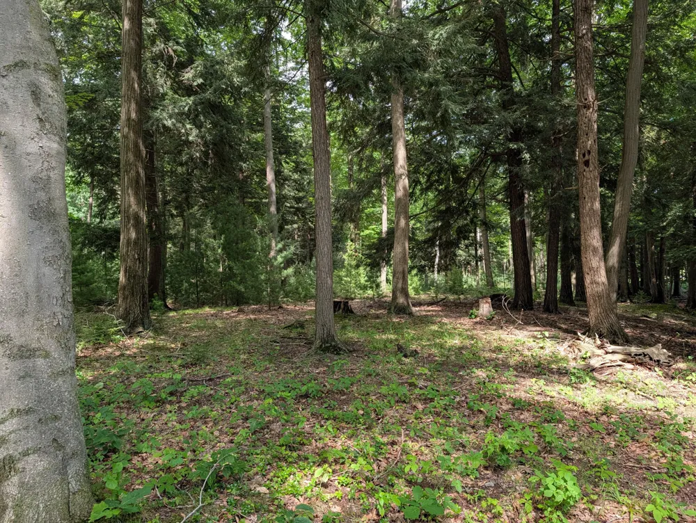 N. Glen Wood Dr. #1 Ludington, MI 49431