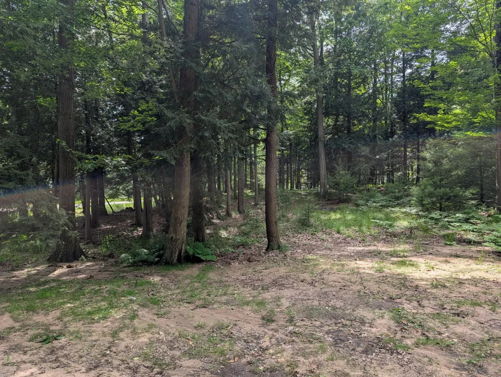 N. Glen Wood Dr. #1 Ludington, MI 49431
