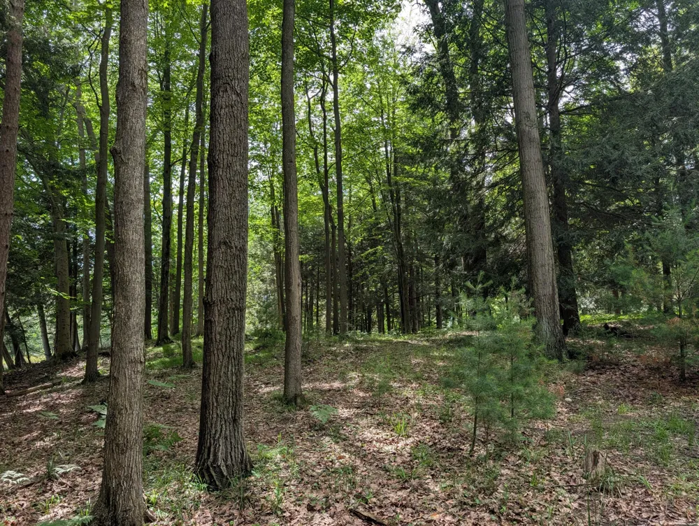 N. Glen Wood Dr. #1 Ludington, MI 49431