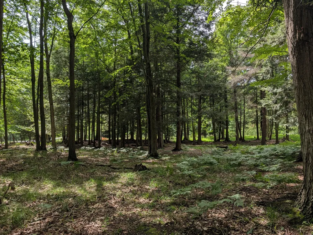 N. Glen Wood Dr. #1 Ludington, MI 49431