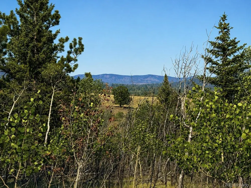 250 Pinto Trail Como, CO 80432
