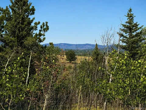 250 Pinto Trail