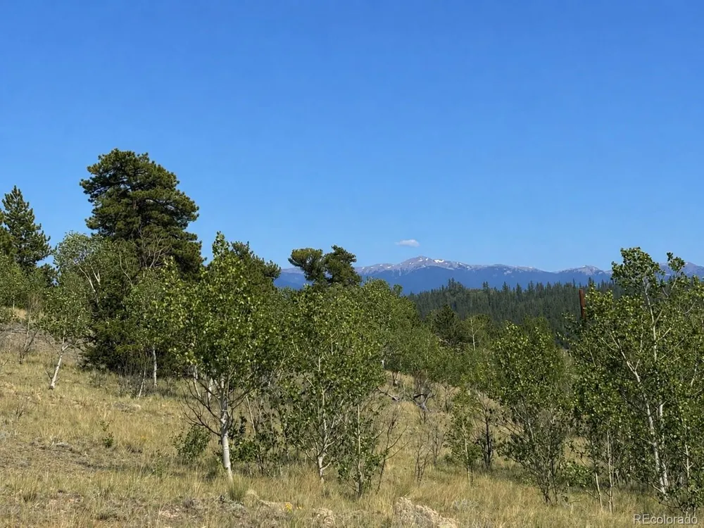 250 Pinto Trail Como, CO 80432