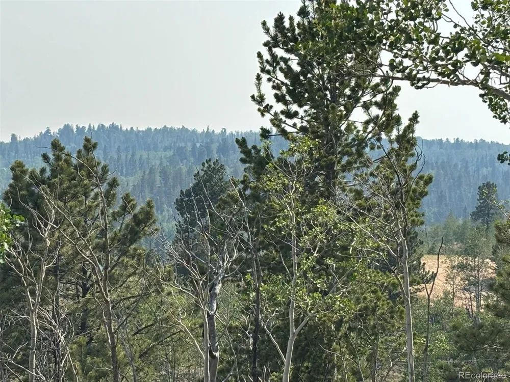 250 Pinto Trail Como, CO 80432