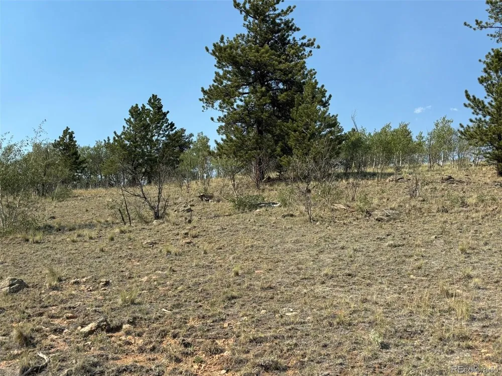 250 Pinto Trail Como, CO 80432