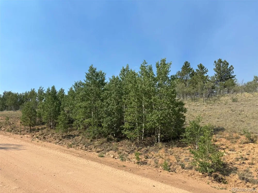 250 Pinto Trail Como, CO 80432