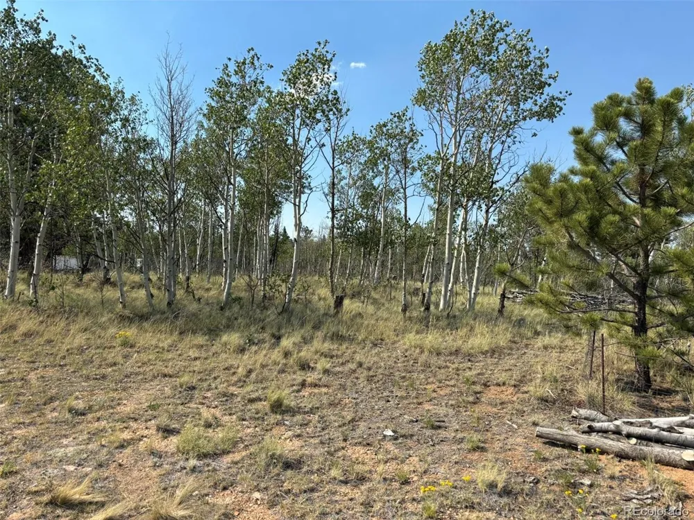 250 Pinto Trail Como, CO 80432