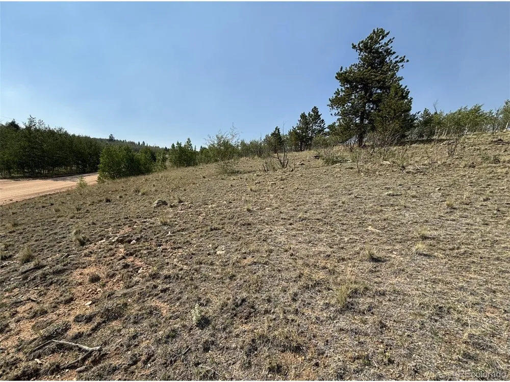 250 Pinto Trail Como, CO 80432