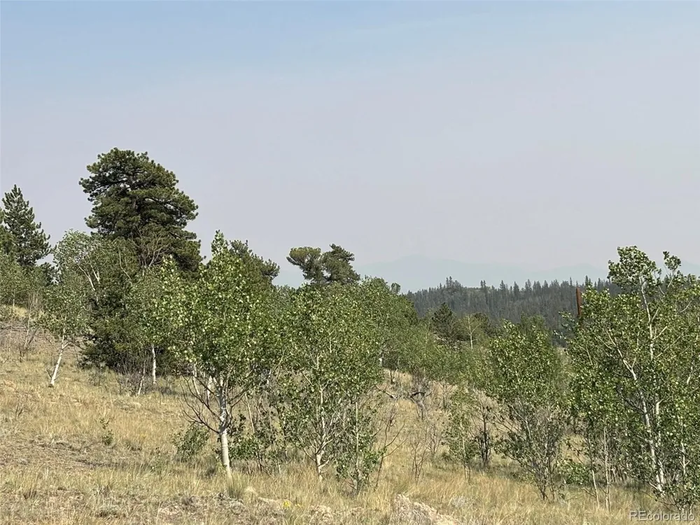 250 Pinto Trail Como, CO 80432