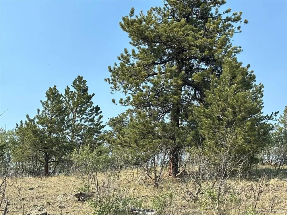 250 Pinto Trail Como, CO 80432
