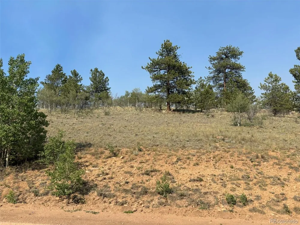 250 Pinto Trail Como, CO 80432