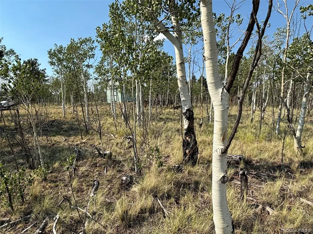 250 Pinto Trail Como, CO 80432