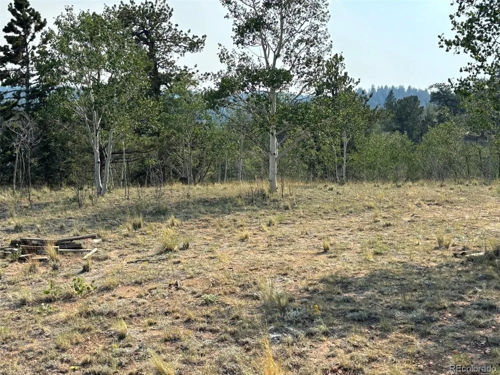 250 Pinto Trail Como, CO 80432