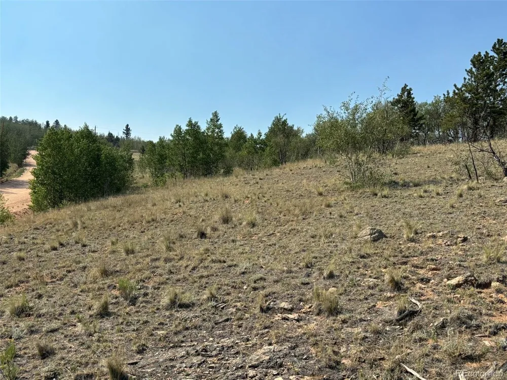 250 Pinto Trail Como, CO 80432