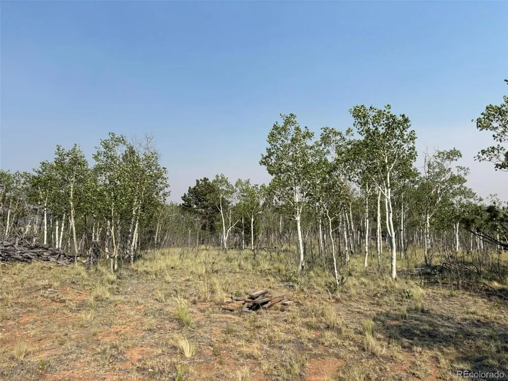 250 Pinto Trail Como, CO 80432