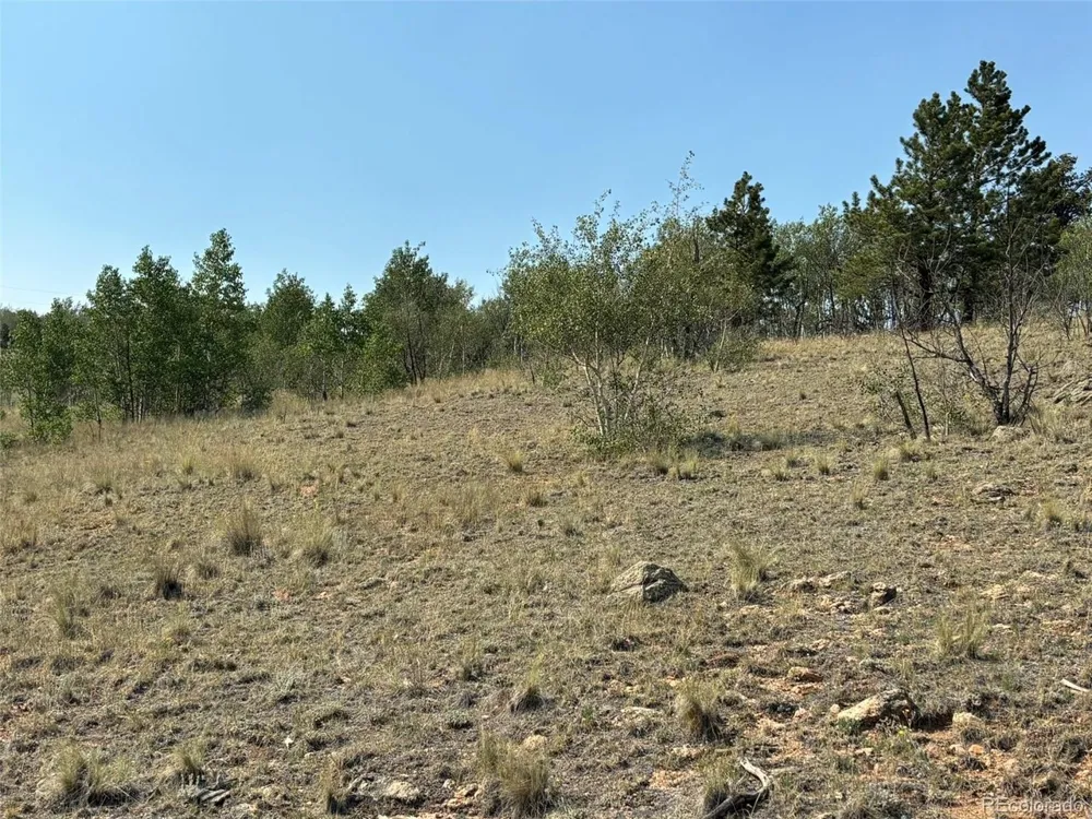 250 Pinto Trail Como, CO 80432