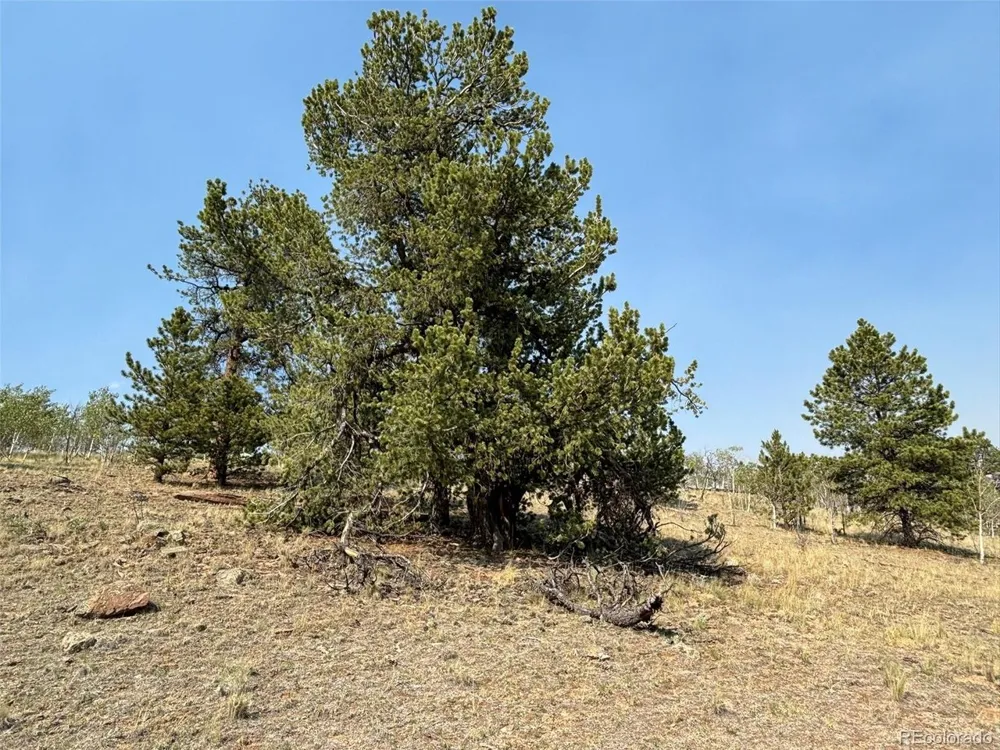 250 Pinto Trail Como, CO 80432