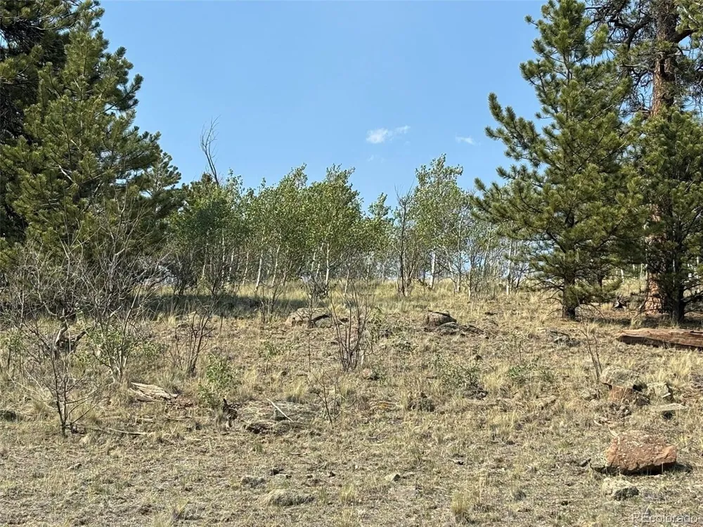 250 Pinto Trail Como, CO 80432