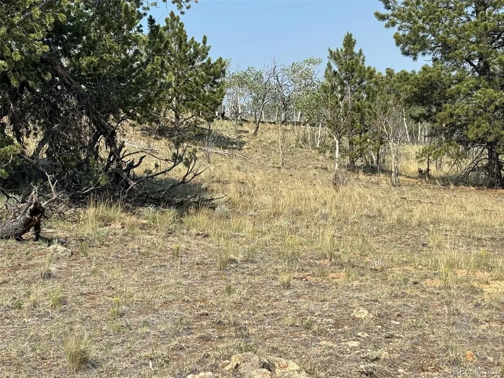 250 Pinto Trail Como, CO 80432