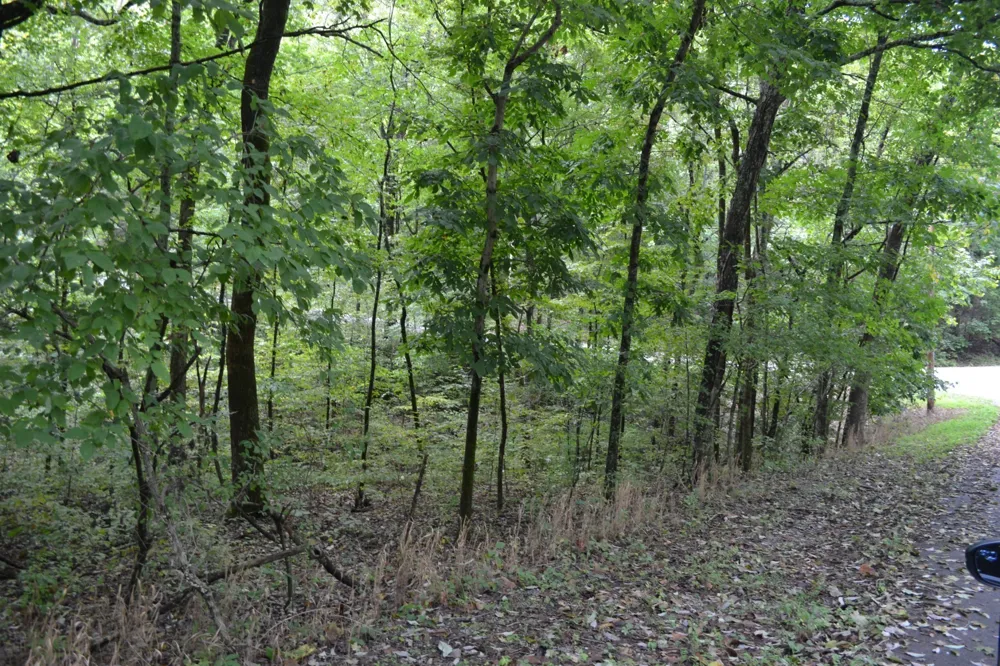 0 Pond Drive Gallatin, TN 37066