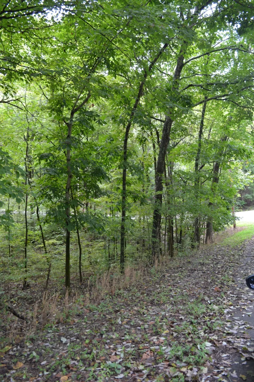 0 Pond Drive Gallatin, TN 37066