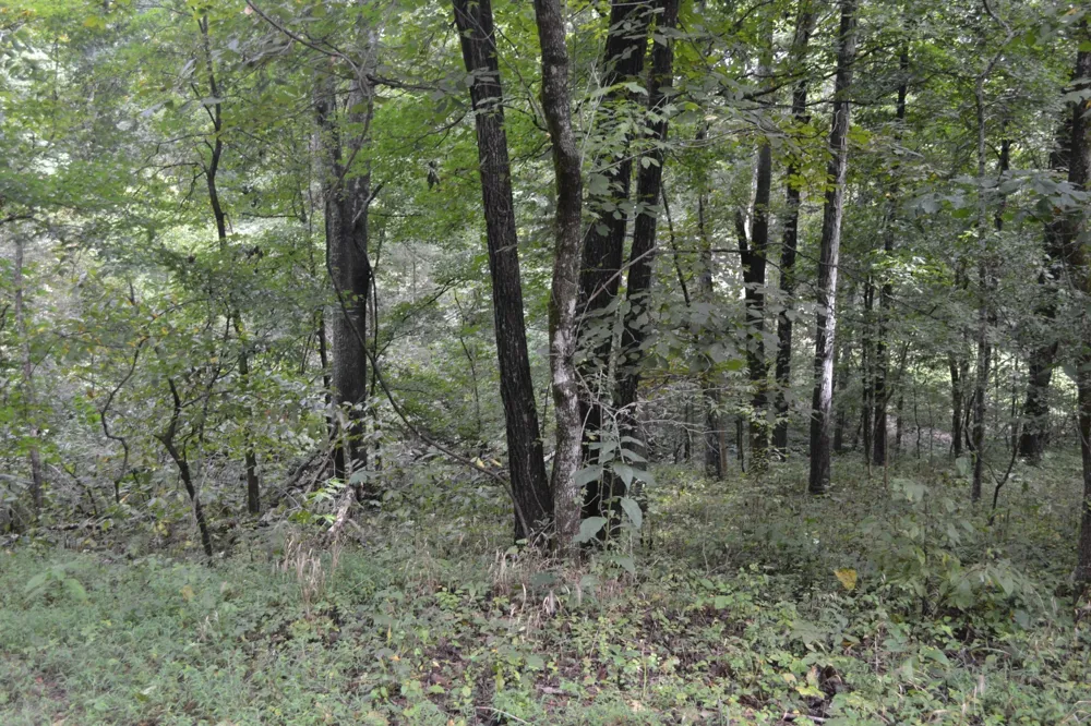 0 Pond Drive Gallatin, TN 37066