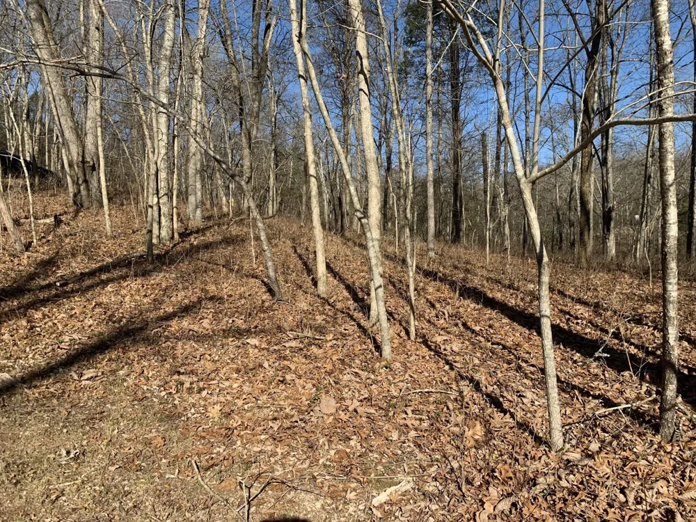 0 Pond Drive Gallatin, TN 37066