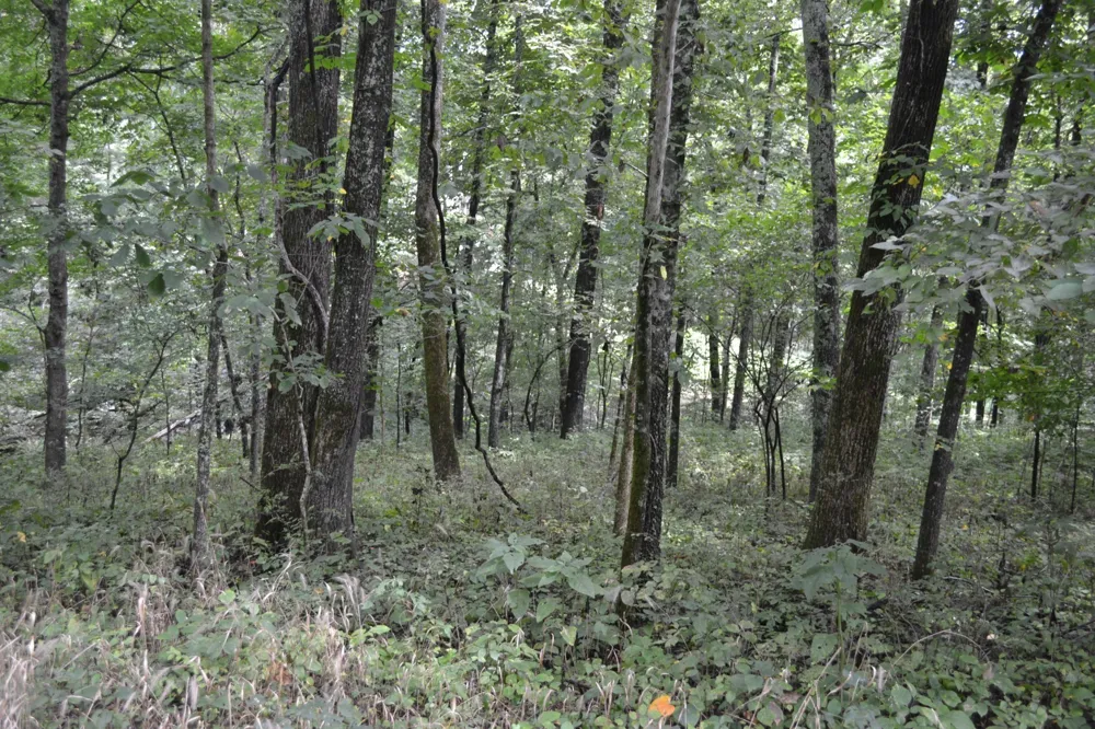 0 Pond Drive Gallatin, TN 37066