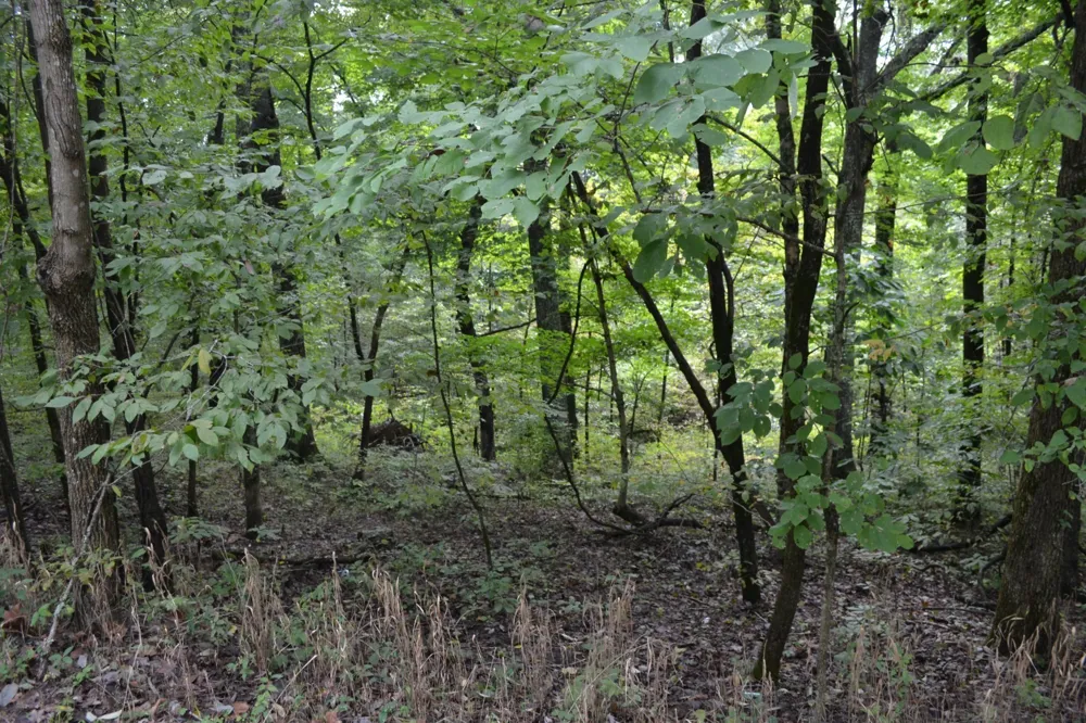 0 Pond Drive Gallatin, TN 37066